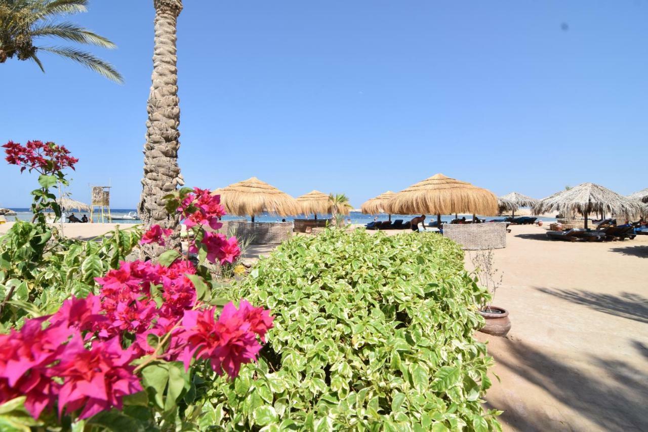 Sharm El Naga Resort And Diving Center ฮูร์กาดา ภายนอก รูปภาพ